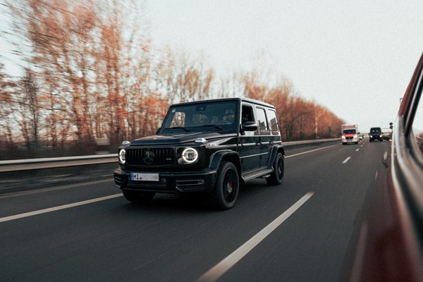 How Can You Prepare Your Pet for Seasonal Changes in the UK?